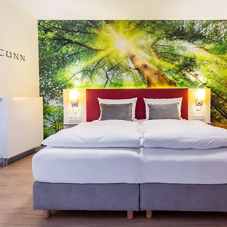 Hotel Mythenresort Heimdall