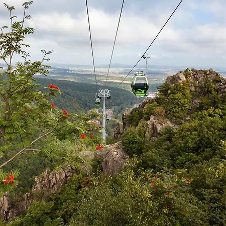 Ξενοδοχείο Mythenresort Heimdall