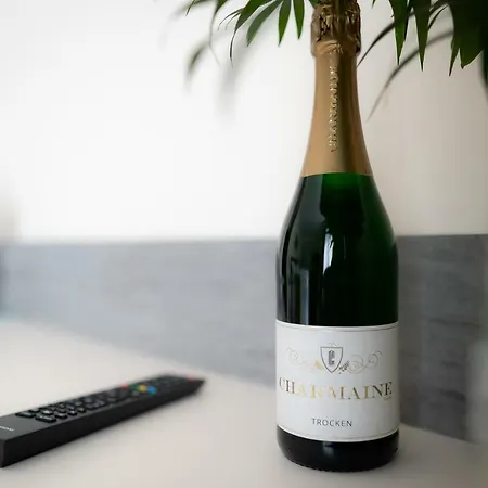 酒店 Mythenresort Heimdall 塔勒